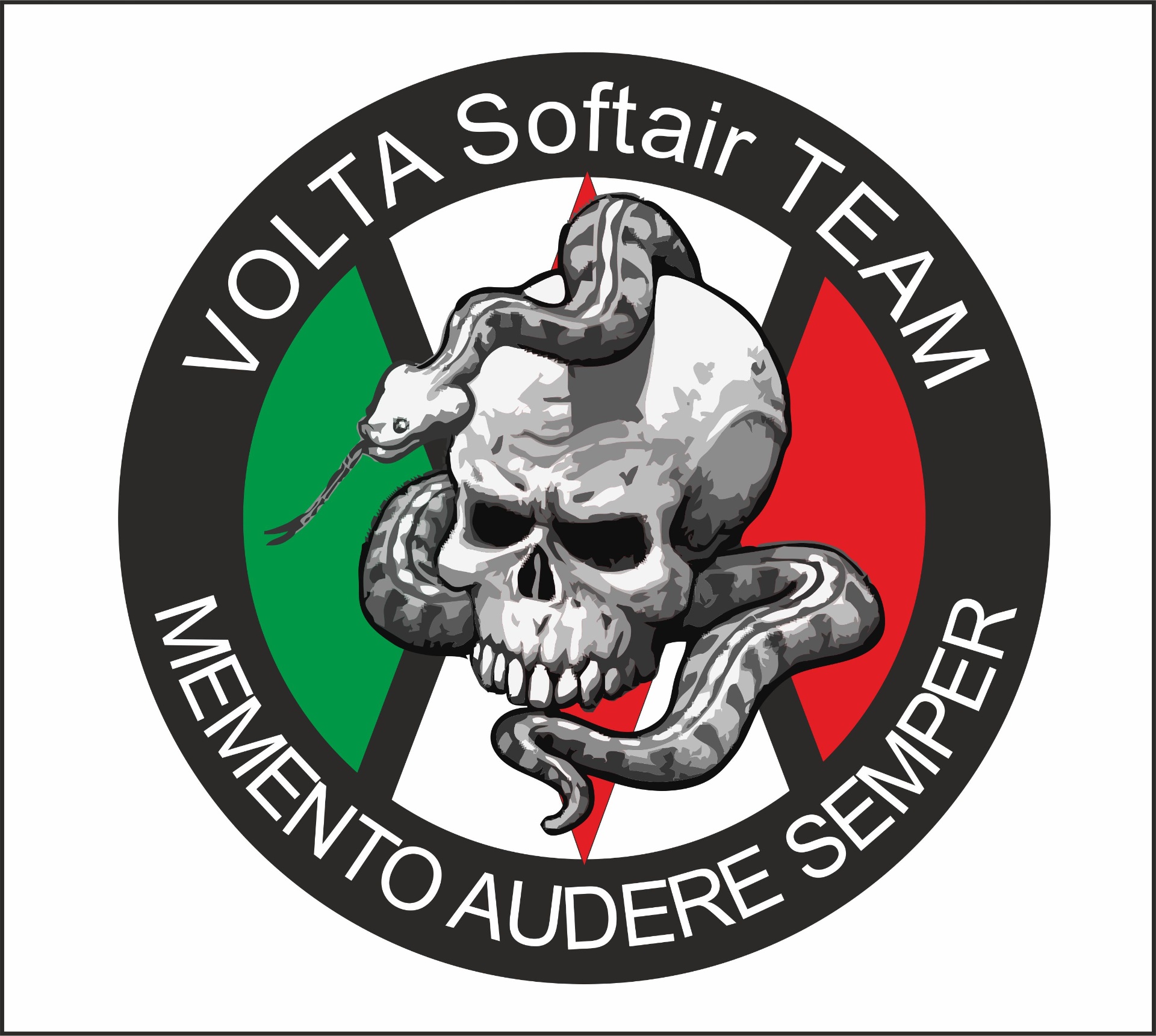 Logo Volta Softair Team